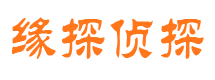 开平侦探